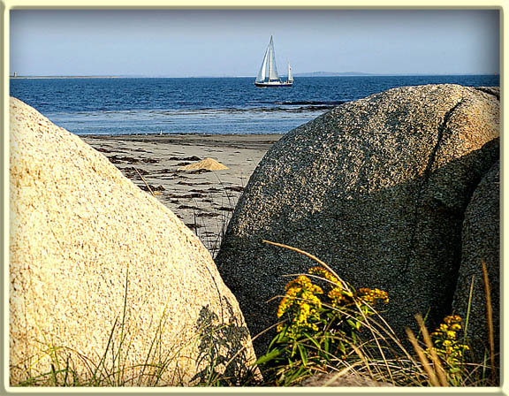 Stones Eye View *<br><br><b>8th Place (shared)</b>