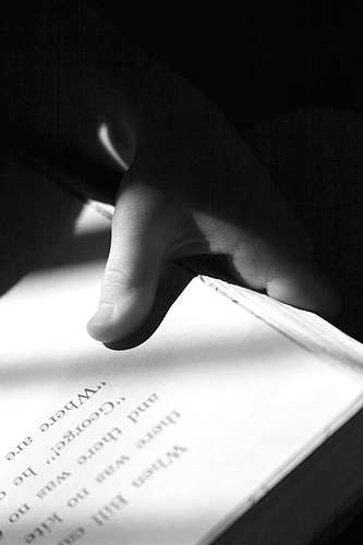 * By the Book <br> 1st Place <br> by Lonnit Rysher