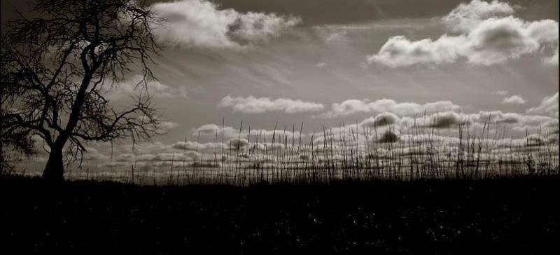 Haunted Field