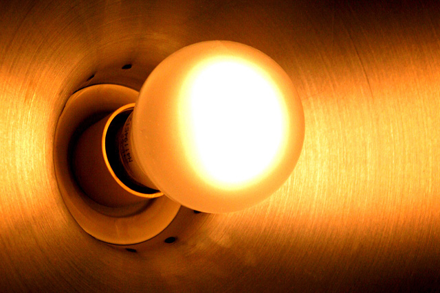 Literally - into the light* <br /> <i>by Tom Donaghey</i>
