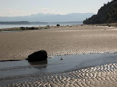 Low Tide Seepage