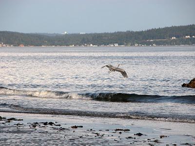 Landing Approach