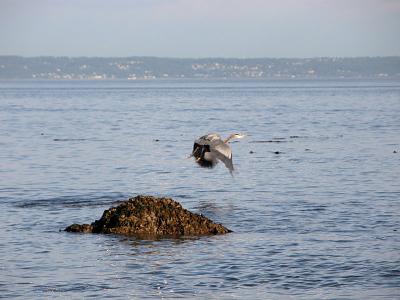 Takeoff