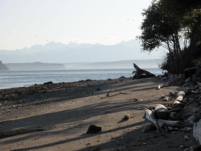 Seal Stump
