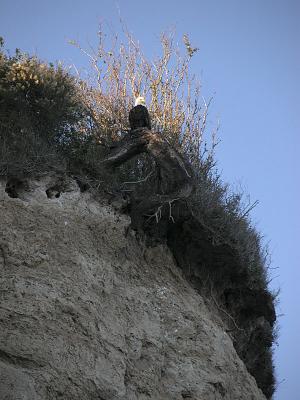 Lookout
