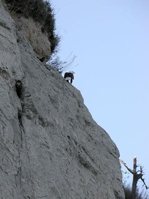 Crow & Eagle