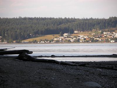 View back to home