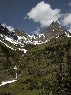Meadows & Cascades