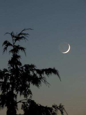 Solstice Moonset