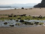 Tidelands
