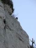 Crow & Eagle