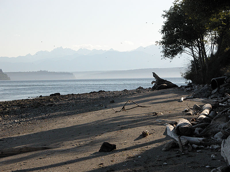 Seal Stump