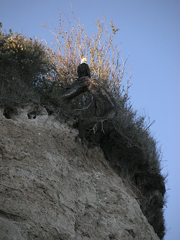 Lookout