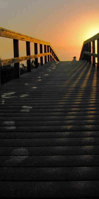 Solitary Sunrise *