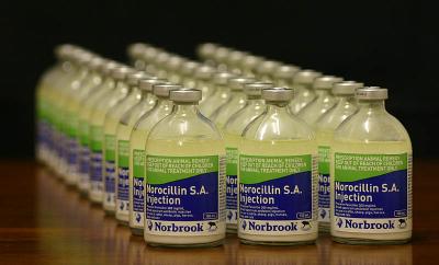 Norocillin *