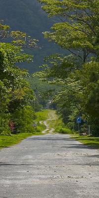 Path to the Mountain on a sunny day *