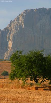 Landscape*