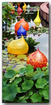 Chihuly in the Garden *