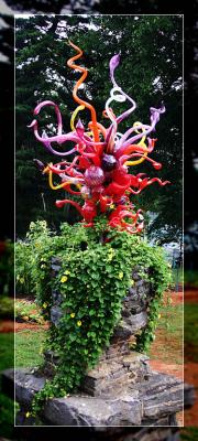 u47/ctfchallenge/medium/30856167.c58_chihuly_in_the_garden_4760.jpg