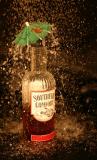 Southern Rain  *