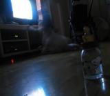 zapping baby*