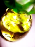 Cabotine*