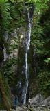 Goldstream Falls