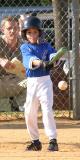 At Bat
