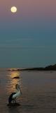 Full Moon *