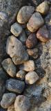 Stones