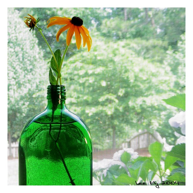 Susan preferred the bottle (*)