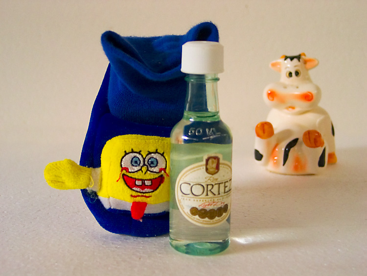 Spongies Problem
