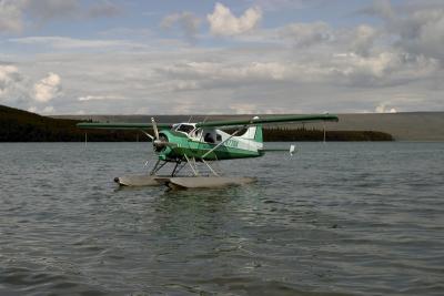 order i CRW_7801.jpg
