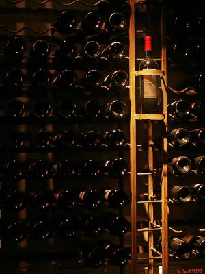 Chilean Wine