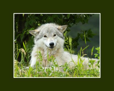 ECO040624_7C.jpg