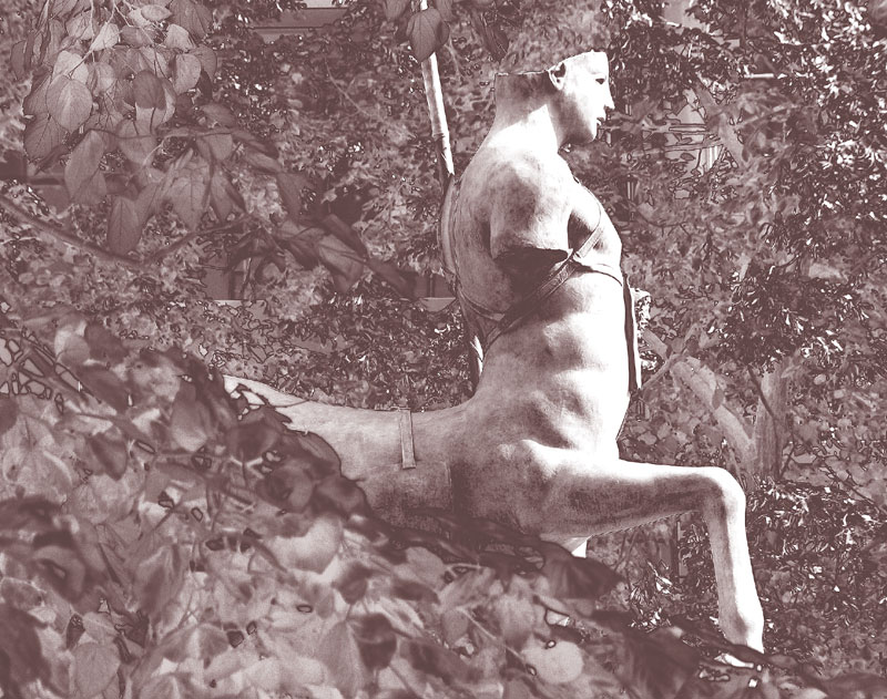 STRIDER