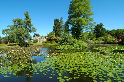 Wakehurst Place, Sussex