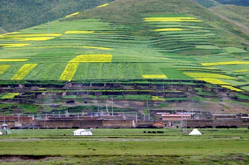 Tibet 2004