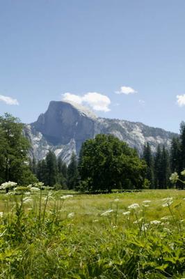 Half Dome 4