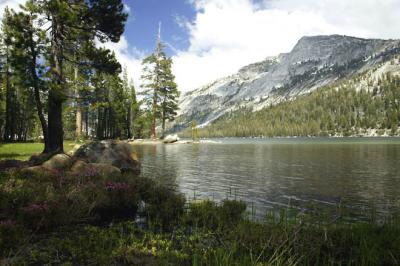 Tenaya Lake 6