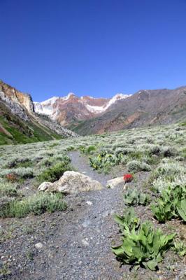 McGee Creek Canyon 2