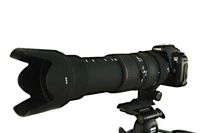 Sigma 50-500mm zoom