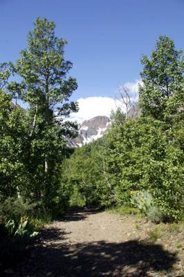 Lundy Canyon  12