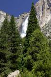 Yosemite Falls 19