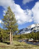 Tuolumne Meadows 10