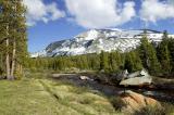 Tuolumne Meadows 11