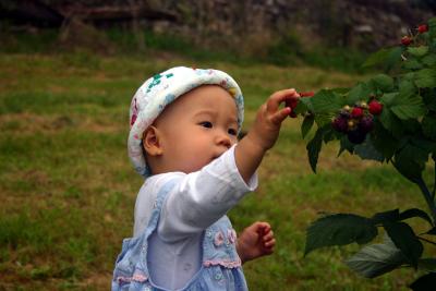 IMG_6259.jpg