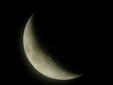 June Moon