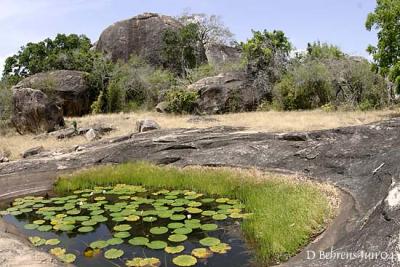 watersource by caves.jpg