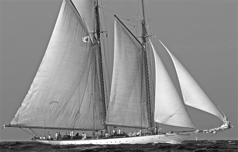 Eléonora